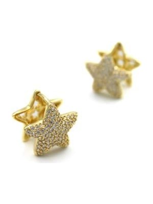 Royaleks Taşlı Yıldız Küpe - Altın