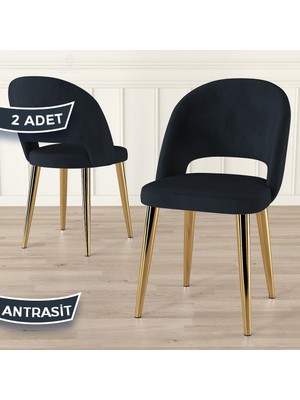 Canisa Pane Serisi 2 Adet Antrasit Mutfak Sandalyesi Babyface Kumaş Gold Kaplama Ayak