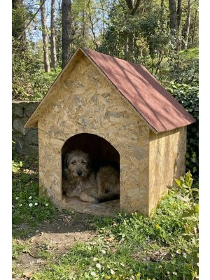 Reyo Köpek Kulübesi Büyük Boy Osb Xl Kırmızı ÇATILI100X100X78 cm