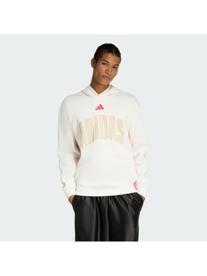 Adidas Sportswear KD0289 Stadıum Graphıc Hoodıe