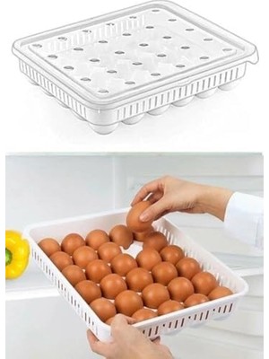 Storemax 30'lu Kapaklı Yumurta Saklama Kabı, Akrilik Plastik Yumurtalık Organizer