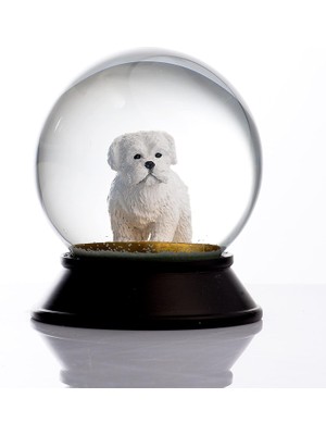 Storemax Cam ve Reçine Altın Patiler Köpek Maltese Terrier Kar Küresi Hediye