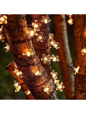 Solar 5m 50 LED Papatya Gün Işığı 8 Fonksiyonlu (Hk-Work-Place)