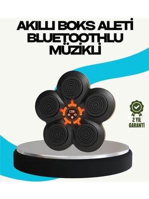 Verto Ev Tipi Akıllı Boks Duvar Paneli Müzikli Bluetoothlu Refleks Geliştirme Cihazı