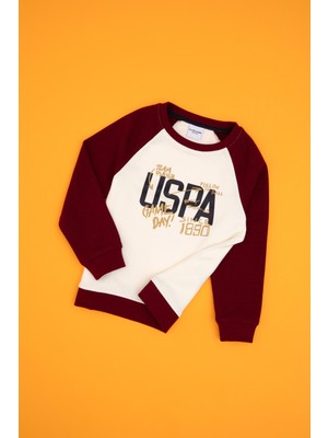 U.s. Polo Assn. Erkek Çocuk Bordo Sweatshirt 50316542-VR014