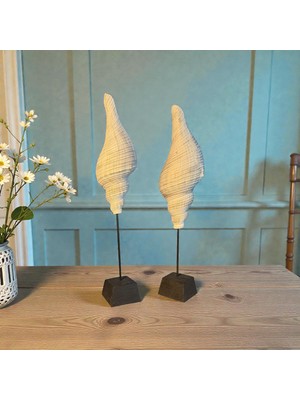 Uzman Ticaret Ikili Deniz Kabuğu