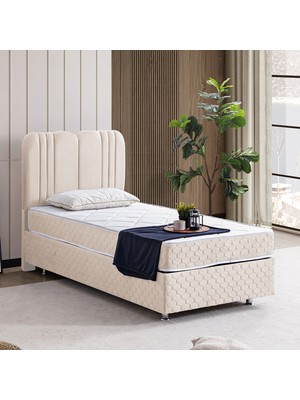 Setay Paul Ikili Set, Paul Tek Kişilik Baza Başlık Seti