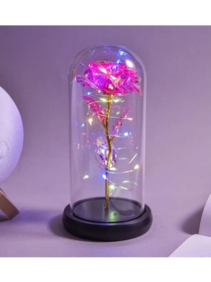 Best Parti Peri LED Işıklı Solmayan Pembe Sonsuzluk Gülü Fanuslu Gece Lambası