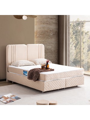 Setay Paul Ikili Set, Paul Çift Kişilik Baza Başlık Seti