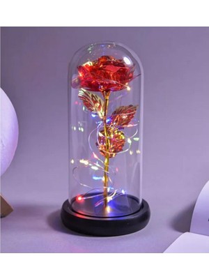 Rönesans Parti Peri LED Işıklı Solmayan Kırmızı Sonsuzluk Gülü Fanuslu Gece Lambası