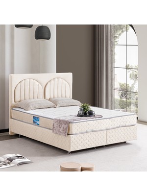 Setay Walter Ikili Set, Walter Çift Kişilik Baza Başlık Seti