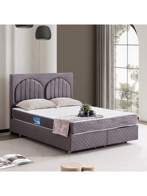 Setay Walter Çift Kişilik Baza Başlık Orthosoft Yatak Seti