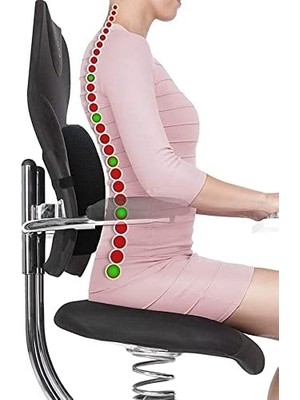 Apexstor Ortopedik Visko Koltuk Minderi Sırt Destek Yastığı Araç Bel Sırt Desteği Yastığı Minderi