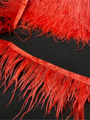 Massaltay Kırmızı Deve Kuşu Tüyü 1 Metre – Dekoratif Süsleme, Kına ve El Sanatları Malzemesi