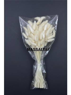 Massaltay Krem Pamuk Otu Lagurus Doğal Kurutulmuş Çiçek 1 Demet – Minimal Ev Dekoru, Boho Süs