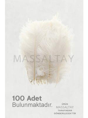 Belirtilmemiş 100 Adet Beyaz Kuş Tüyü – Nikah Şekeri, Nişan Yelpaze ve Süsleme Malzemesi