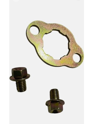 Topuz Motor Cup Sfc Ön Dişli  Vidası ve pul Seti