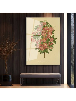 GülsenArt Pierre-Joseph Redouté Azalea Çiçeği Botanik Sanatı Temperli Cam Tablo Duvar Tablosu Dekoratif Tablo
