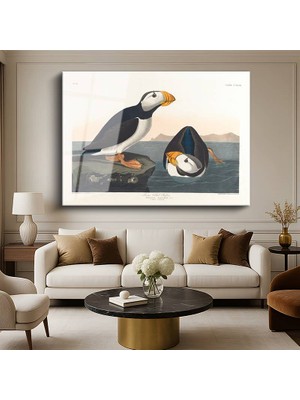 GülsenArt John James Audubon Büyük Gagalı Deniz Papağanları Kuş Resmi Temperli Cam Tablo Duvar Tablosu Dekoratif Tablo