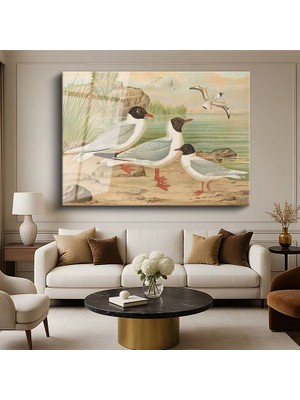 GülsenArt Anonim Sahildeki Martılar Kuş Resmi Temperli Cam Tablo Duvar Tablosu Dekoratif Tablo