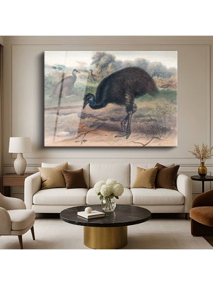 GülsenArt John Gould Avustralya Emusu Kuş Resmi Temperli Cam Tablo Duvar Tablosu Dekoratif Tablo