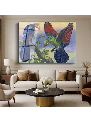 GülsenArt John Gould Egzotik Kuşlar Doğa Resmi Temperli Cam Tablo Duvar Tablosu Dekoratif Tablo