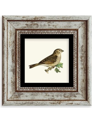 TeknoKapsül Serçe Çerçeveli Taş Tablo 20 cm