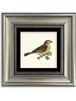 TeknoKapsül Serçe Çerçeveli Taş Tablo 20 cm