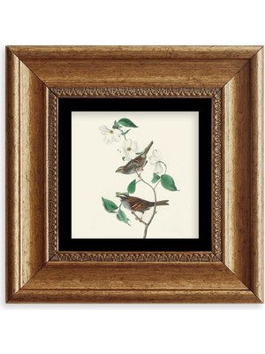 TeknoKapsül Kuşlar ve Ağaç Çerçeveli Taş Tablo 20 cm