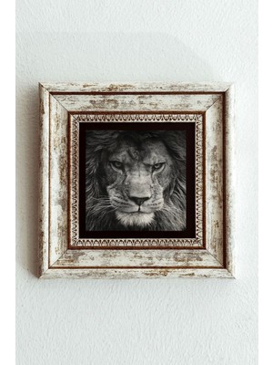 TeknoKapsül Çerçeveli Taş Tablo , Çerçeveli Taş Duvar DEKORU-ENKCRCVTBL-00161 20 cm