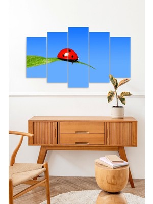 TeknoKapsül Ateşböceği 5 Parçalı Mdf Tablo 60 x 100