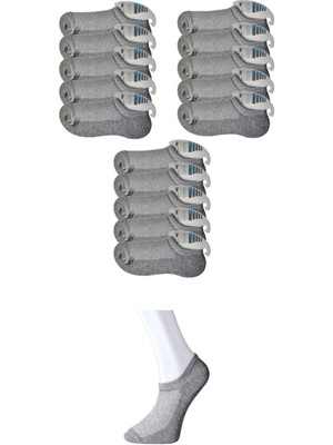 Zenvia Gri Erkek Görünmez Çorap 15 Çift (ZNV-556)
