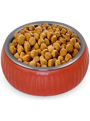 Zenvia Mikopet Organik Seramik Mama Kabı Kiremit ZNV-254110