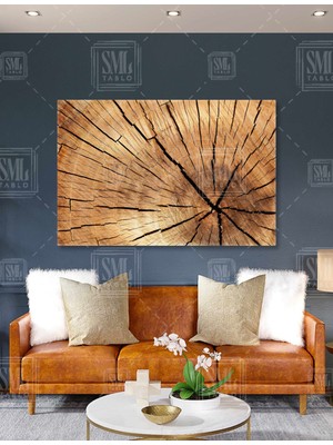 SML Tablo Ağaç Gövdesi Kütük Ağaç Yaşı Halkalar Yatay Kanvas Tablo