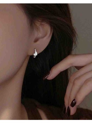 Gümüş Beyaz Taşlı Kalpli  Küpe