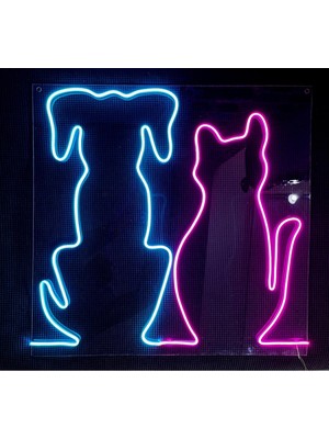 Kedi Köpek Veteriner Neon LED Tabela 60 x 60 cm