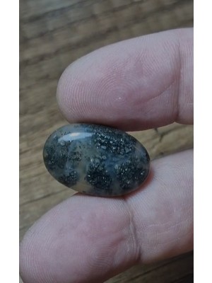 Aries 20.00CT 23.8X15.6MM Natural Oval Markazite Hipomo Jasper
