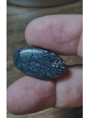 Aries 19.30CT 26.5X15.2MM Natural Oval Markazite Hipomo Jasper