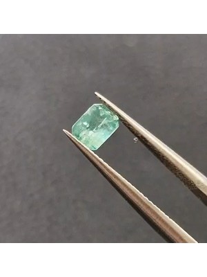 Aries 0.60CT 4.8x3.5mm Octagon Natural Emerald Zambia