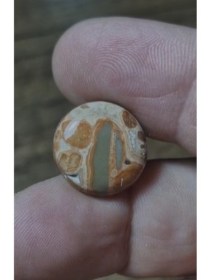Aries 10.95CT 16MM Natural Round Leopard Jasper