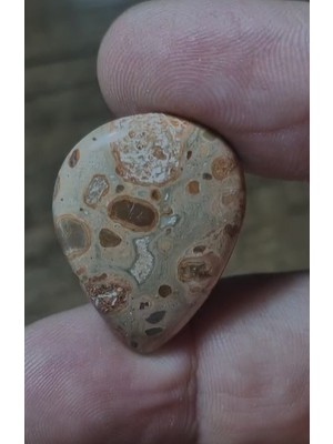 Aries 24.30CT 28.6X21.2MM Natural Pear Leopard Jasper