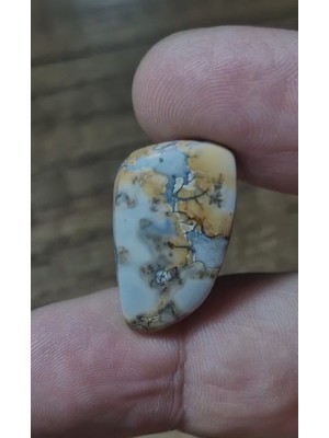 Aries 19.70CT 25.5X15.1MM Natural Fancy Maligano Jasper