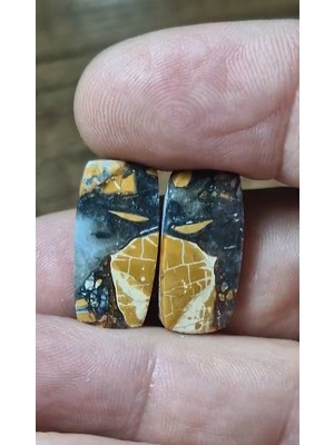 Aries 20.00CT 22X10.7MM Natural Octagon Pair Maligano Jasper