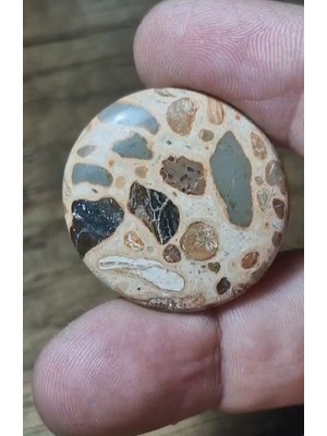 Aries 43.20CT 31.5X30.2MM Natural Round  Leopard Jasper