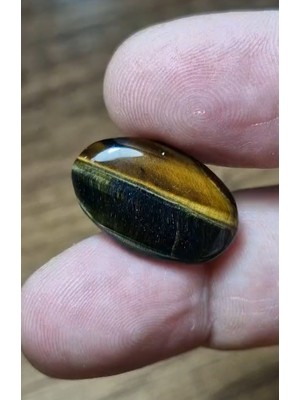 Aries 13.95CT 23.1X14.6MM Oval Natural Bi Color Tiger Eye