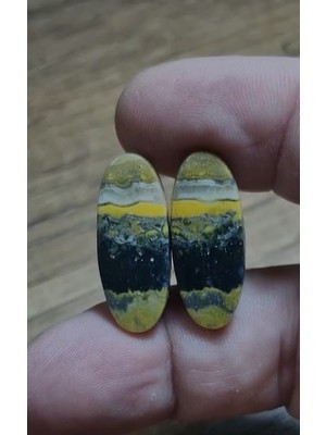 Aries 24.45CT 26.9X11MM Pair Bumble Bee