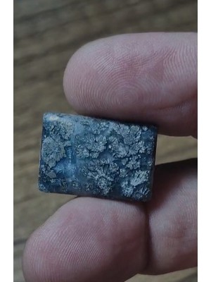 Aries 19.50CT 22X15.4MM Natural Octagon Markazite Hipomo Jasper
