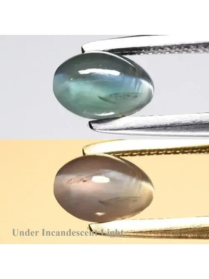 Aries 0.68CT Oval Cabochon Natural Green Cat's Eye Alexandrite - Sri-Lanka Gem