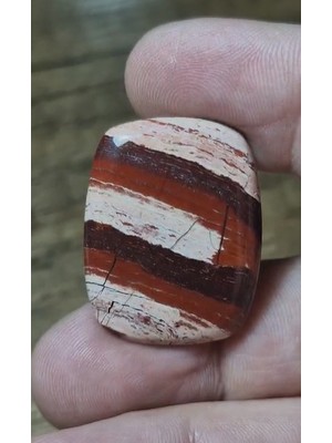 Aries 42.90CT 30.3X23.5MM Natural Snake Skin Jasper