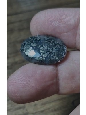 Aries 20.75CT 23.2X16MM Natural Oval Markazite Hipomo Jasper